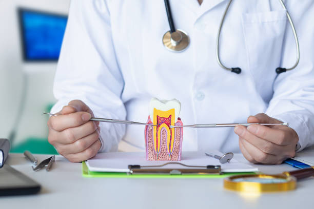 Best Emergency Dental Care for Broken or Chipped Teeth in Grace, ID